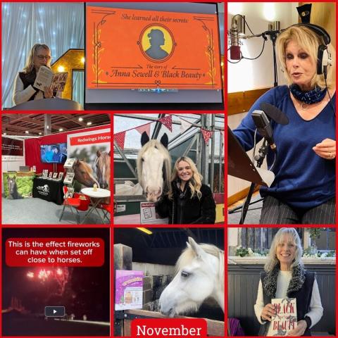 A gallery of images from November