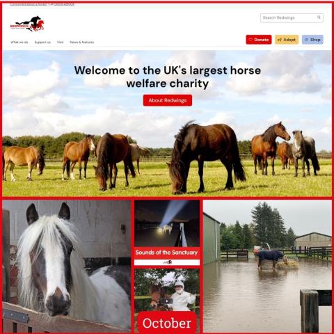 A gallery of images from October