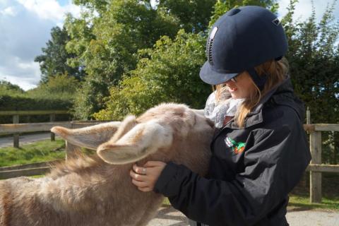Donkey Rodney cuddles into one of his carers.