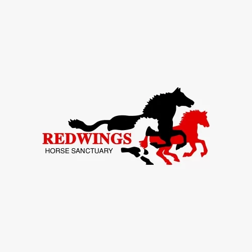 Redwings communications team logo