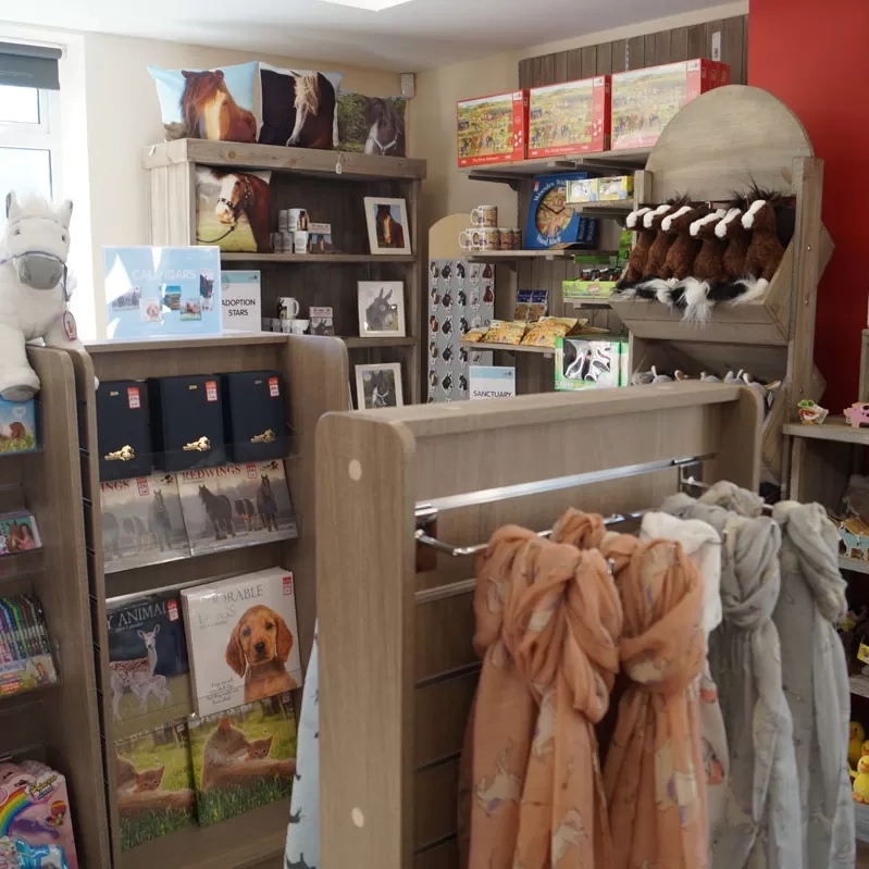 Shop Assistant