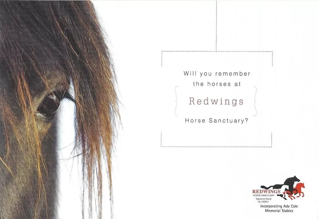 Will you remember the horses at Redwings?