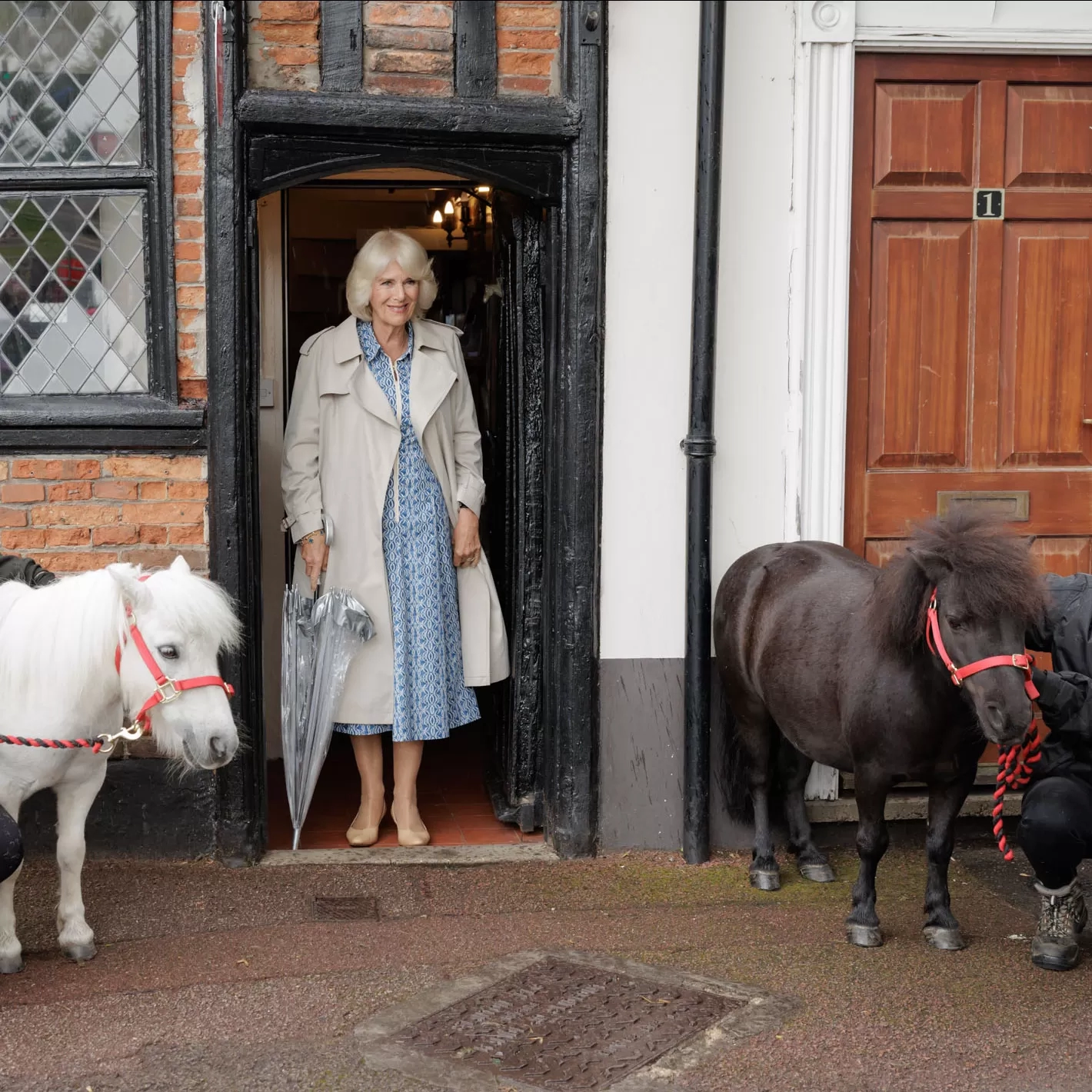 Queen Camilla visits Anna Sewell House and meets ponies Dhansak and Moses.
