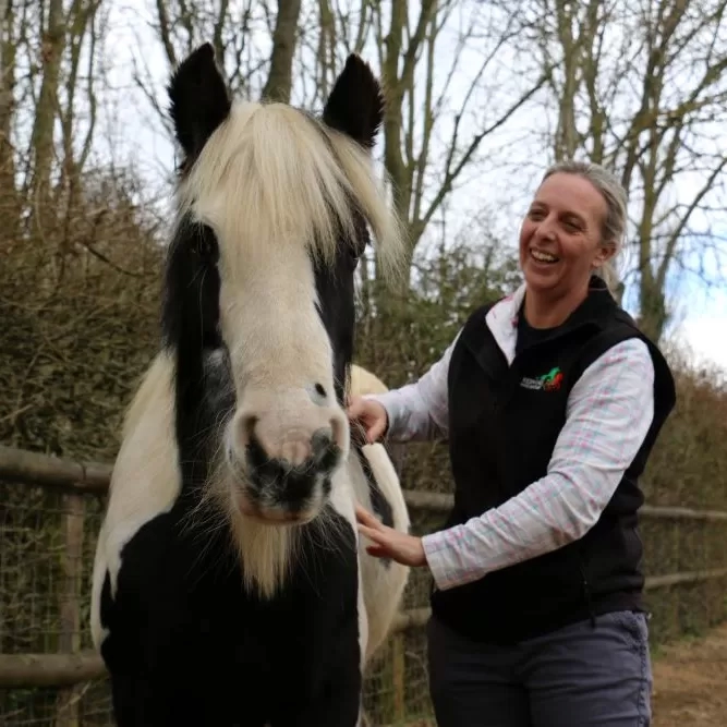 Nursing Manager Lou gives black and white pony Audrey a scratch