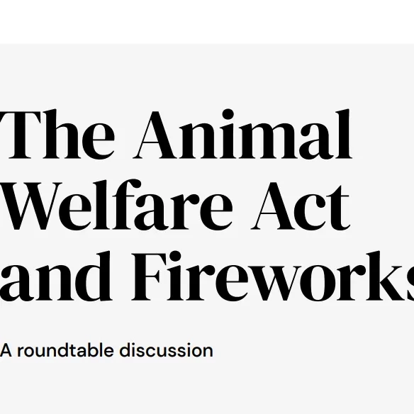 The Animal Welfare Act and Fireworks