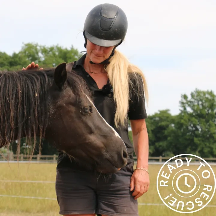 Photo of Pansie the horse with carer. 