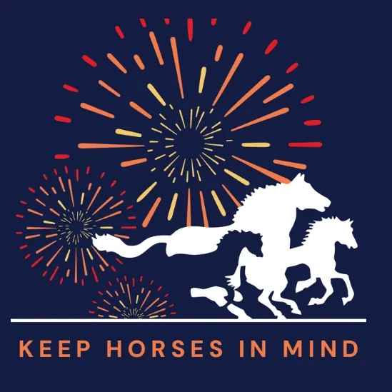 Image of the Keep Horses In Mind campaign logo (the Redwings logo with fireworks) and the text "Fireworks petition to be debated in parliament!"