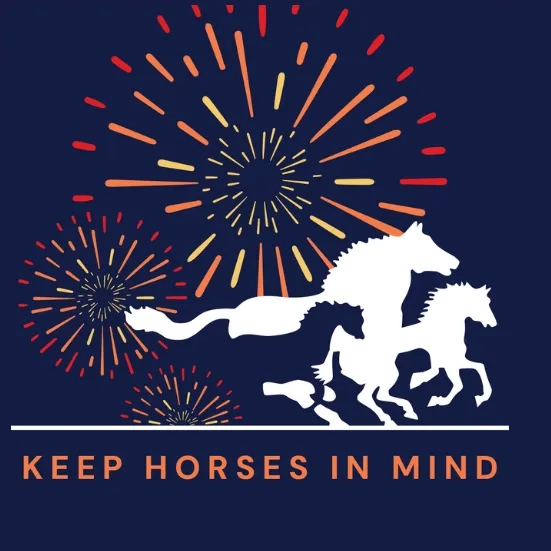 Graphic of fireworks with the Redwings logo, text reads "Our fireworks petition was debated in parliament!"