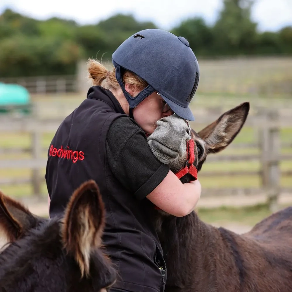 Wiggins, a brown donkey wearing a red headcollar, is getting a cuddle and kiss from a carer