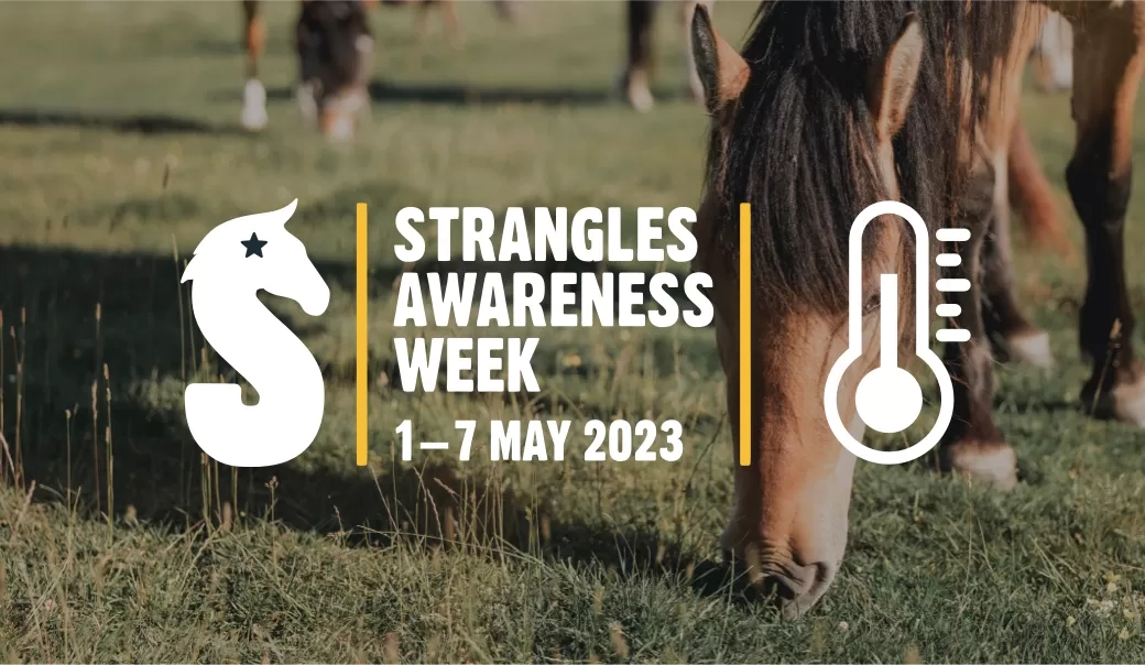 Strangles awareness week