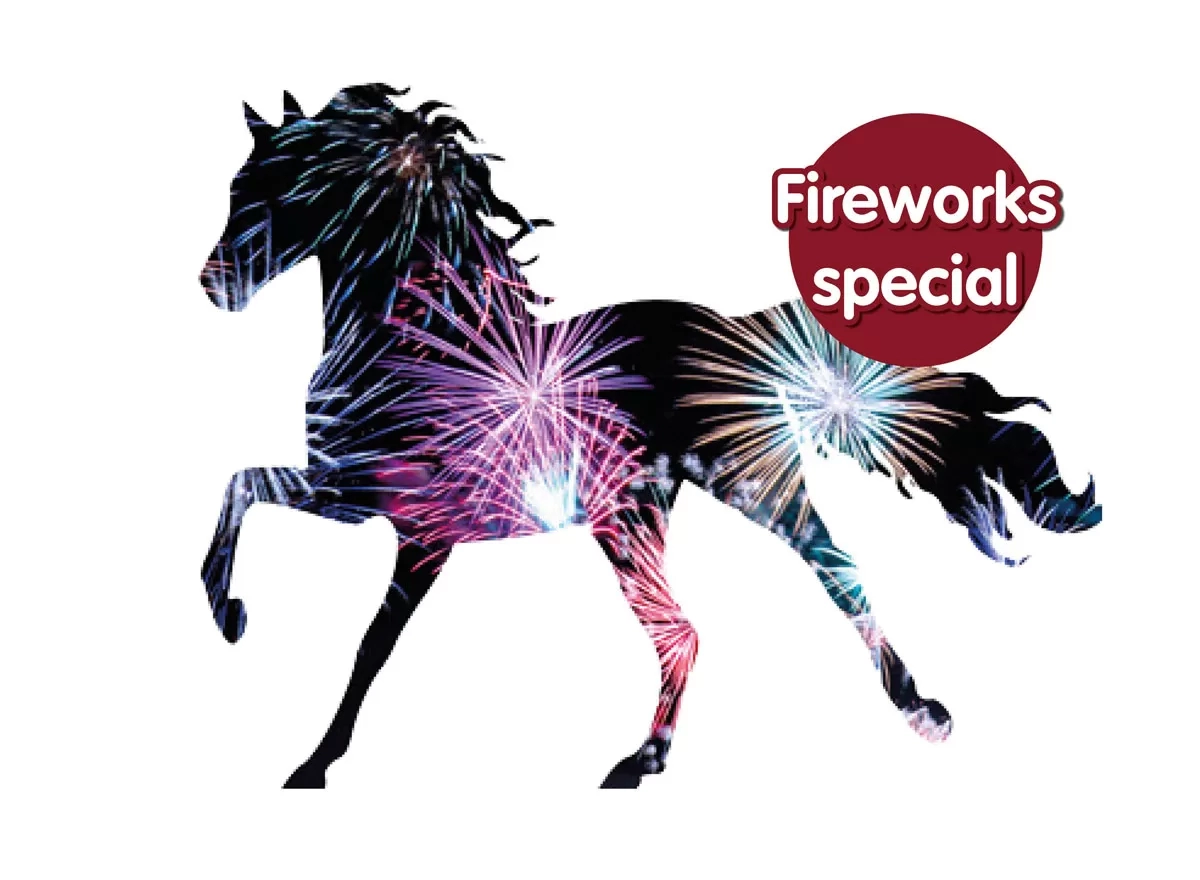 Fireworks special