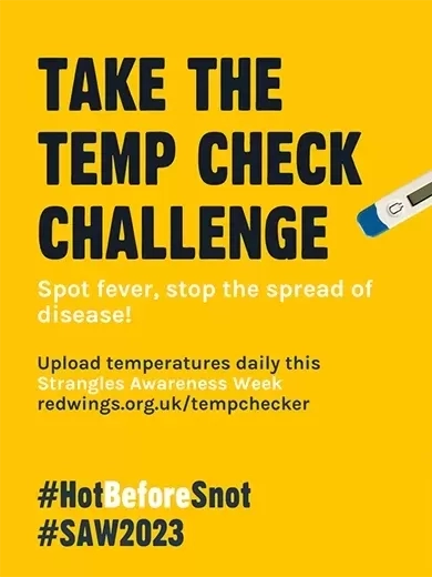 Take the Temp Check Challenge