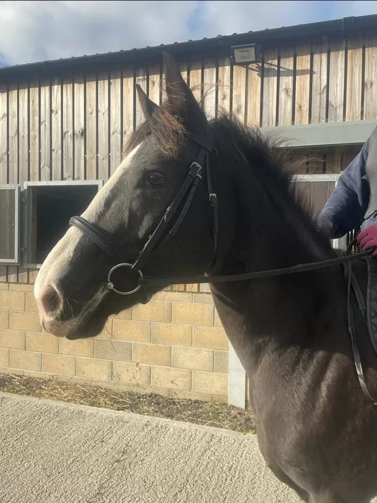 Anna standing nicely for the camera