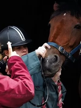 Two members of staff scoping a Redwings horse