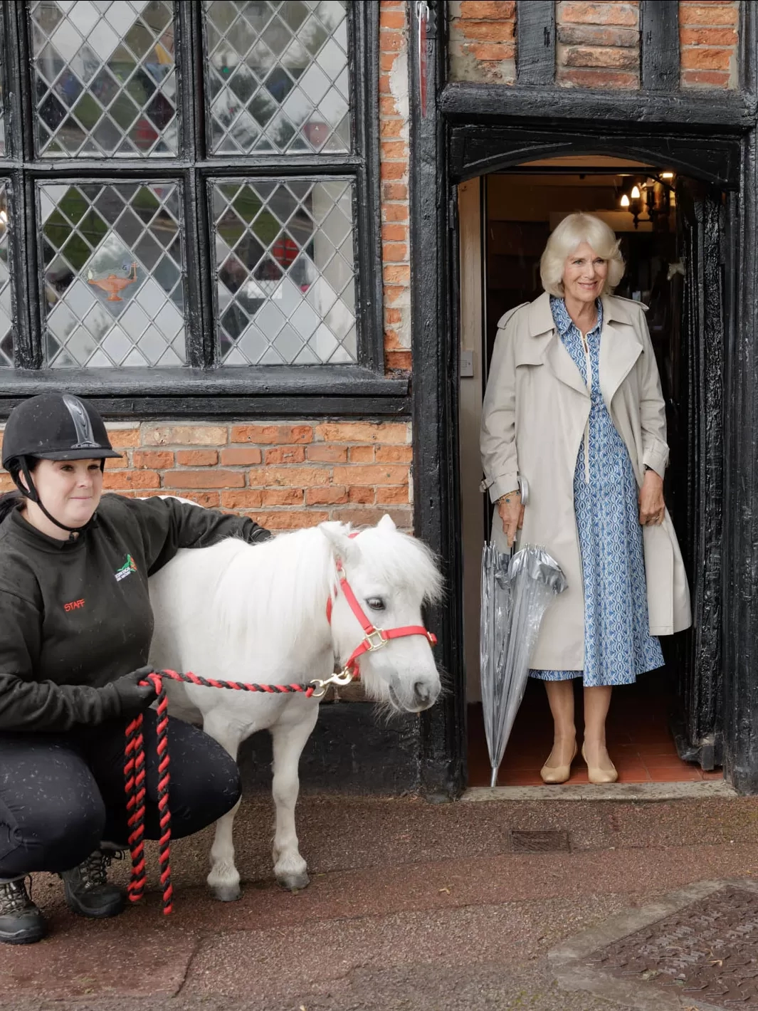 Queen Camilla visits Anna Sewell House and meets ponies Dhansak and Moses.