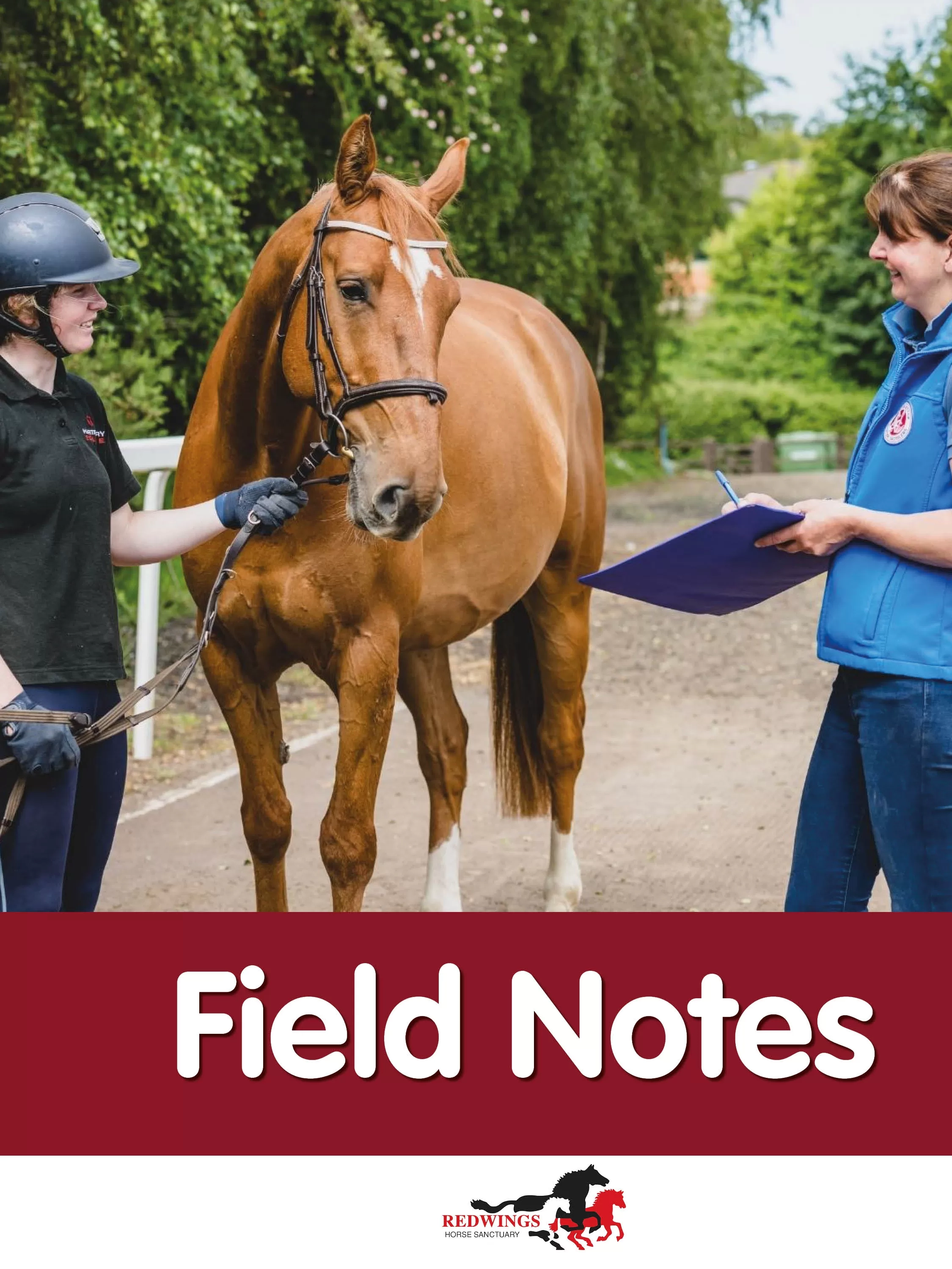 Field Notes logo