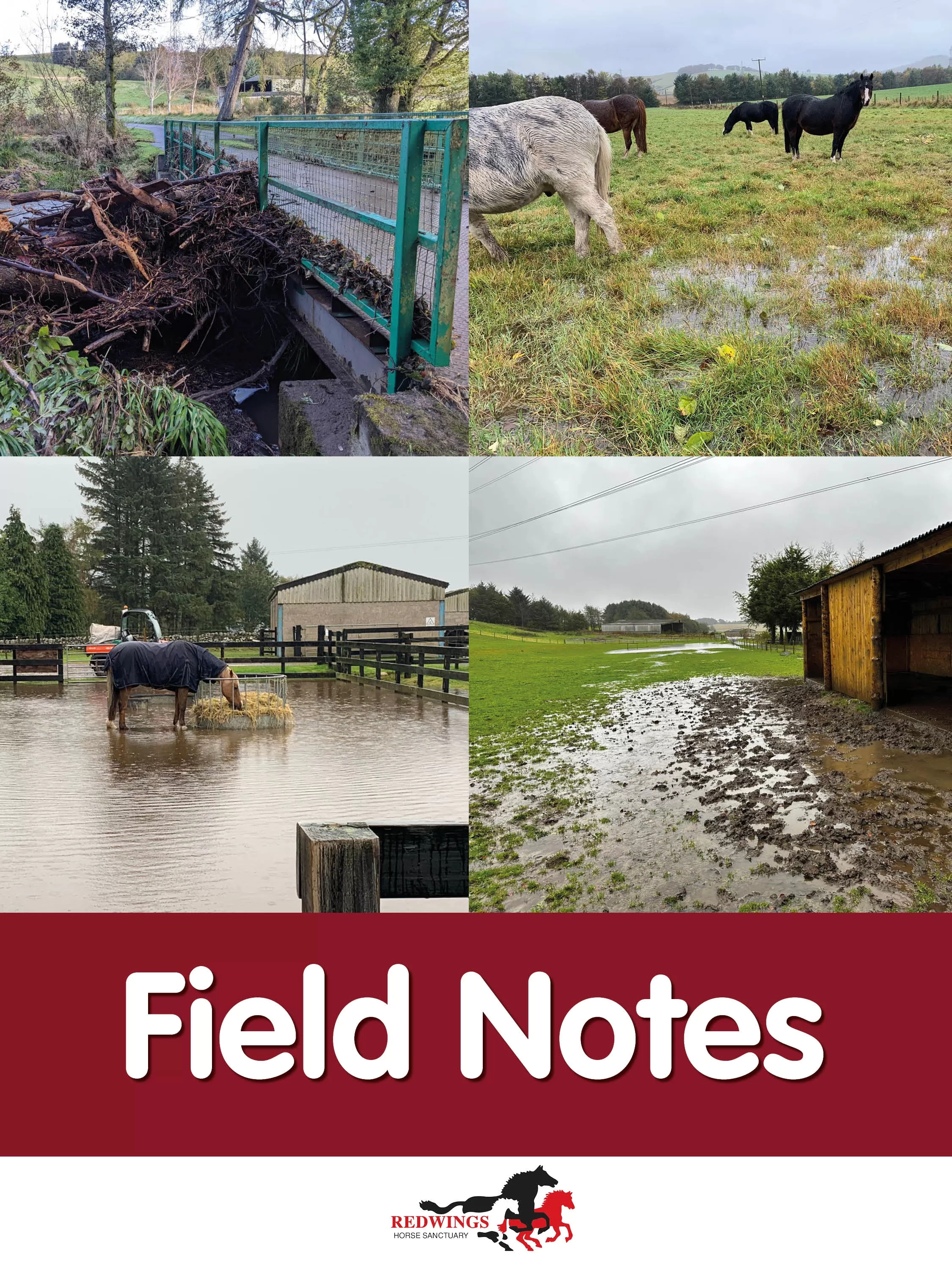 Images of the storm damage at Mountains