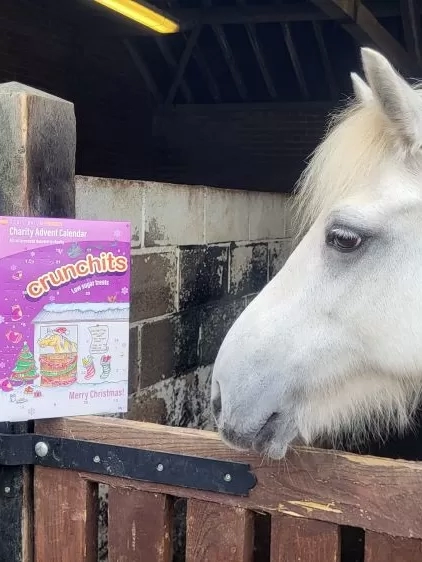 Pony Prue with a Crunchits advent calendar.