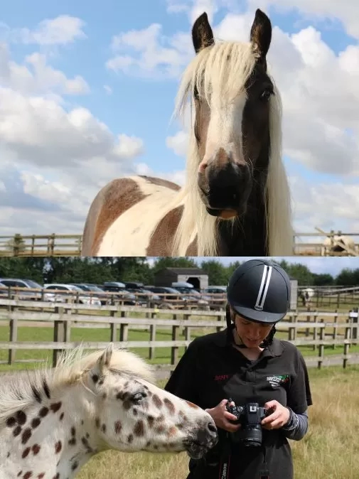 Members of Redwings' Adoption Scheme, past and present.