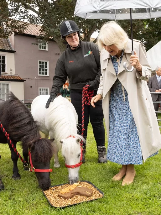 HM Queen Camilla meets two Redwings ponies