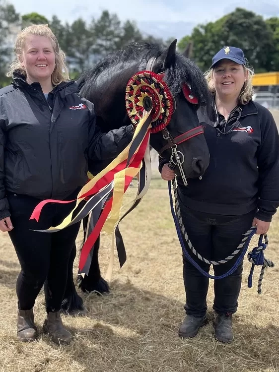 Equine welfare and the law explained | Redwings Horse Sanctuary