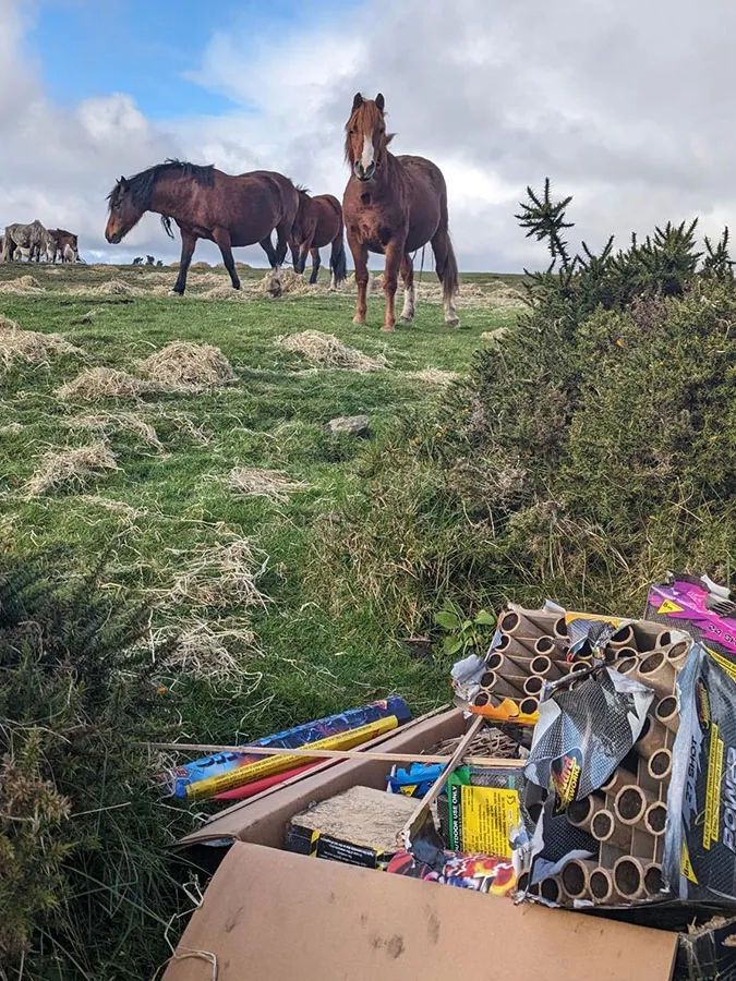 Horses and fireworks