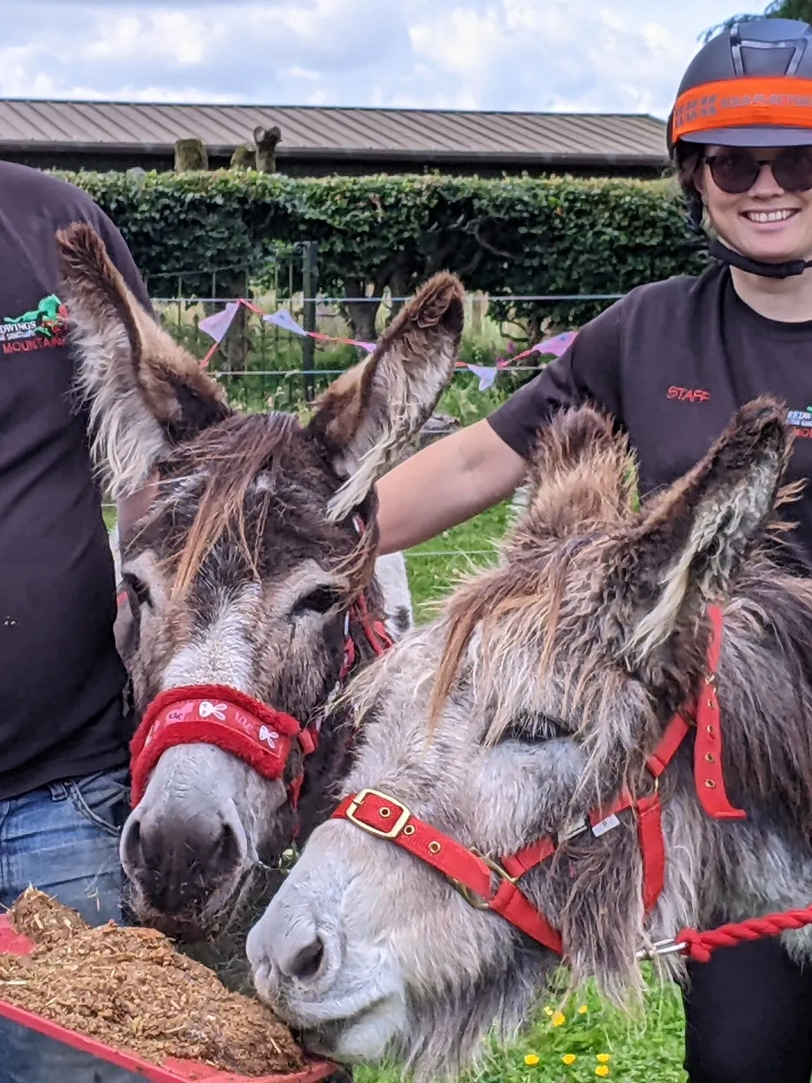 Photo of two donkeys eating a donkey friendly cake, with two smiling carers.
