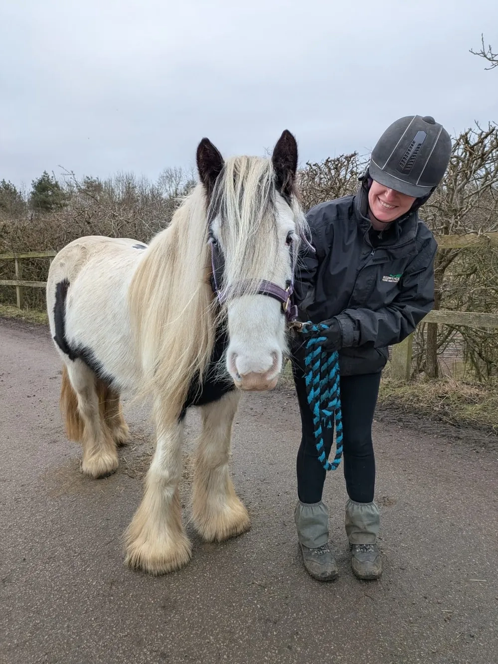 Piebald pony and handler