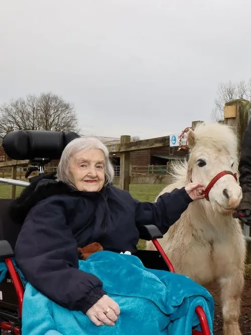 Photo of Barbara in a wheelchair meeting a pony being held by a handler.
