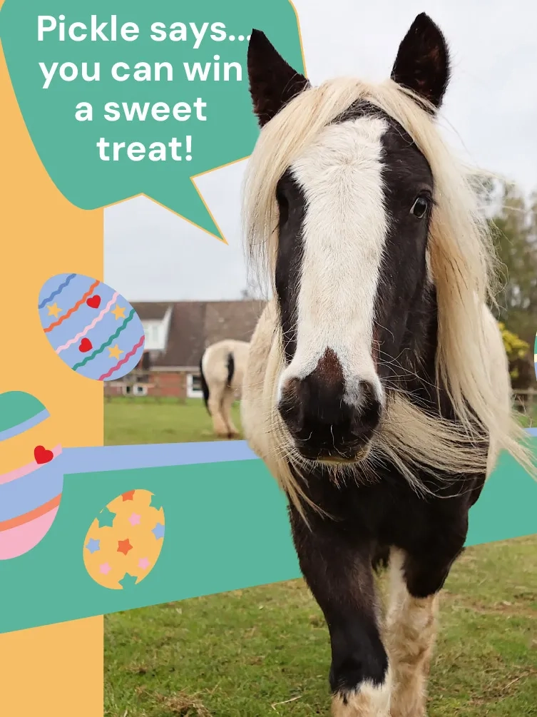 Aylsham Easter Egg promo