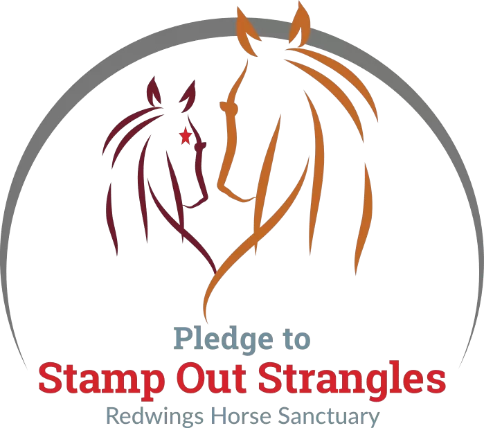 Stamp Out Strangles Logo