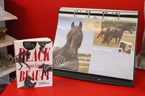 Black Beauty book with Maya's story