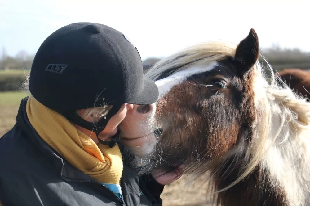 A horse owner cuddles their pony