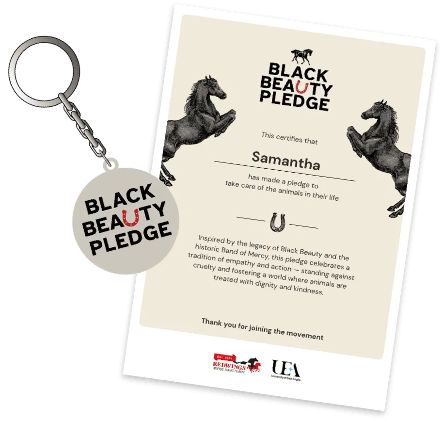 Black beauty certificate and keyring graphic
