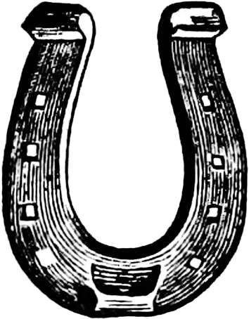 Horse shoe icon 