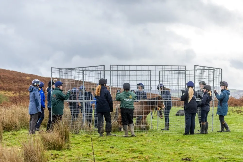 A team working on Gelligaer 